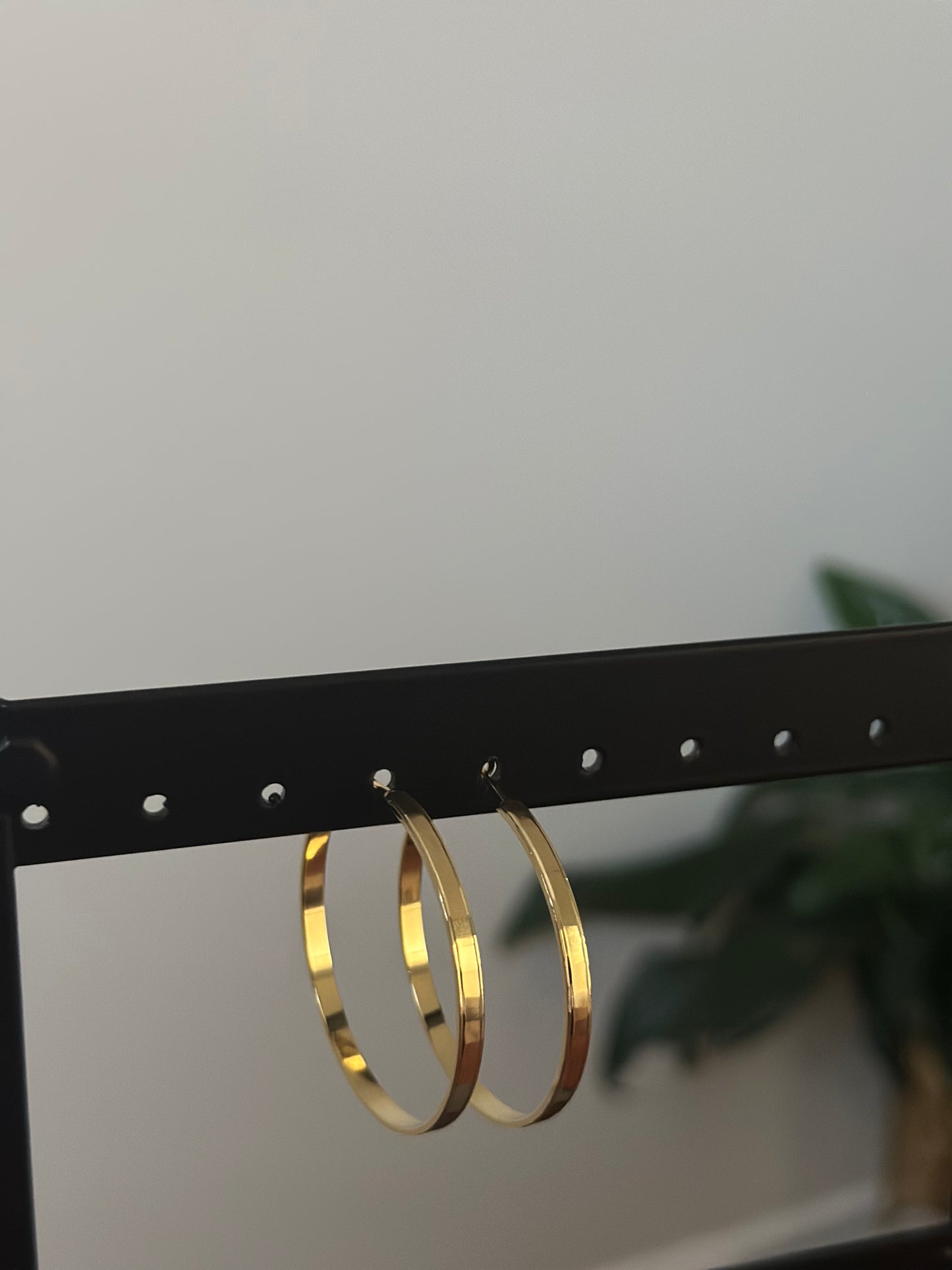 Olga Hoops